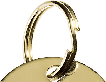 Ring voor Penning