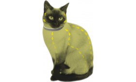 Natuurlijke Vlooien en Teken Halsband voor Katten