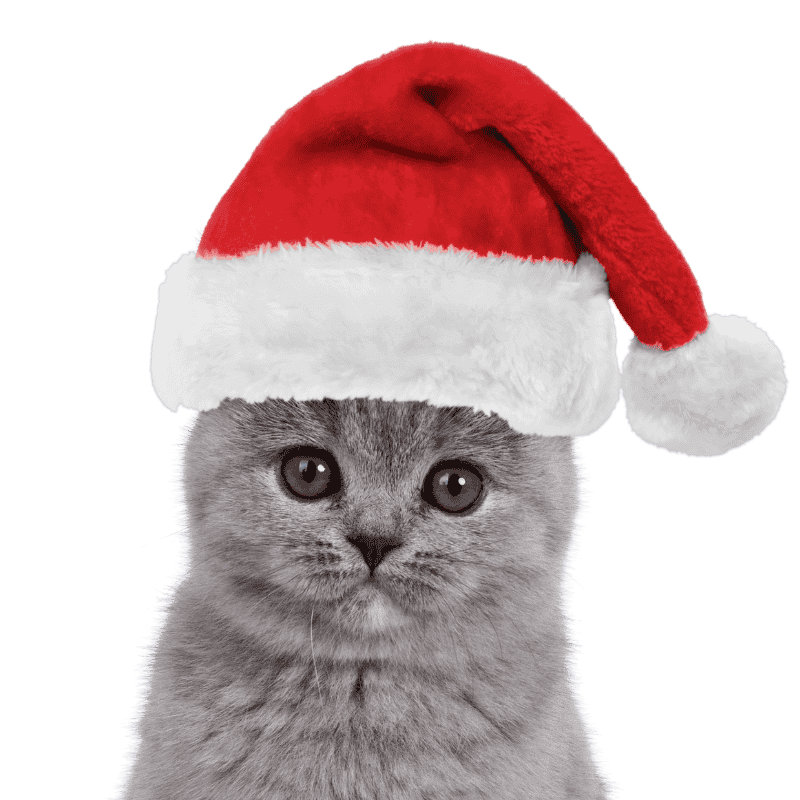 Kerstmuts voor Honden en Hatten Kerstmuts voor Honden en Hatten