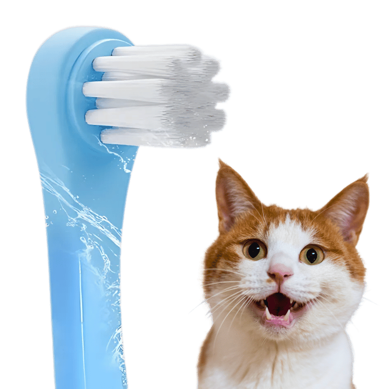 Zachte Clean Tandborstel voor Katten met Zachte Nylon Haren Zachte Clean Tandborstel voor Katten met Zachte Nylon Haren
