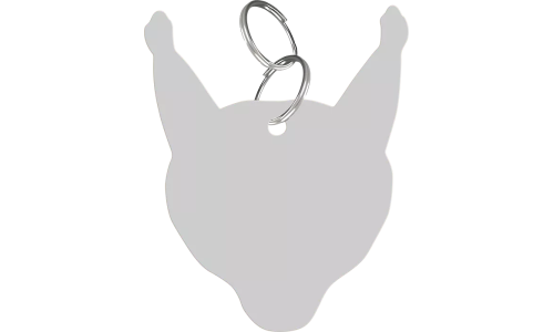 Médaille chat Caracal Pumba gravée, forme tête de félin, détails ludiques, en alliage de zinc, pour le nom du chat.