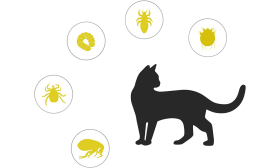 Natuurlijke Vlooien en Teken Halsband voor Katten