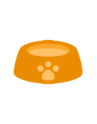 Autres accessoires pour chats - Penningkatten.be